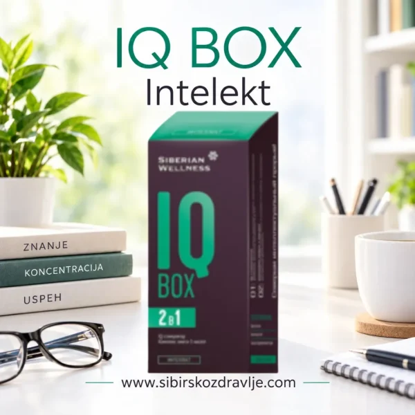 IQ BOX – Intelekt