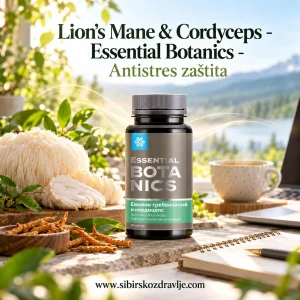 Lion’s Mane & Cordyceps - Essential Botanics Lion’s Mane & Cordyceps - Essential Botanics